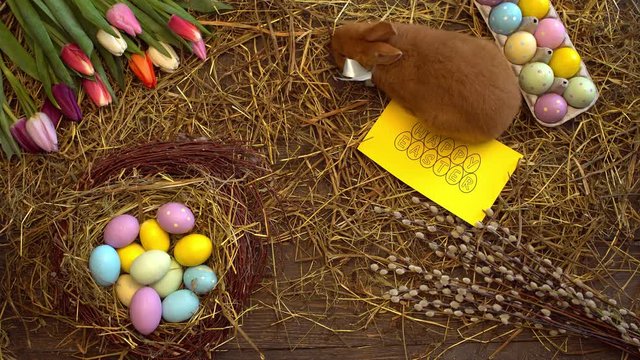 Fluffy rabbit easter celebration traditional symbol concept top view lying near card