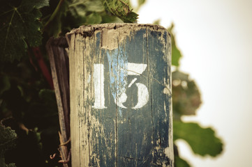 post with number 13 in a vineyard