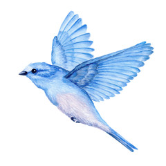 Cute little blue bird. Watercolor illustration. Cute animals and birds. Spring symbol. Happy Easter. Blue luck bird