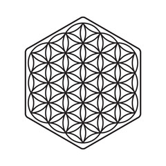 Sign of a flower of life, a pattern of circles