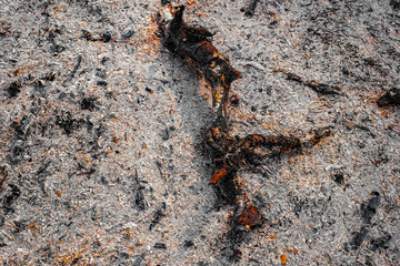 Remains of wood coal and ashes after the combustion of firewood