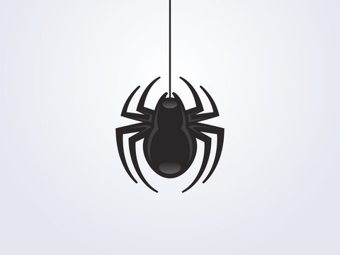 Black spider vector illustration