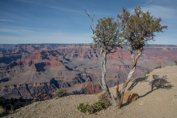 Grand Canyon Perspective