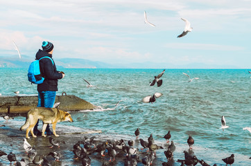 guy and dog on the pier by the sea. friendship between a dog and a man. walk and travel. waves of...