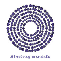 Naklejka premium Blueberry