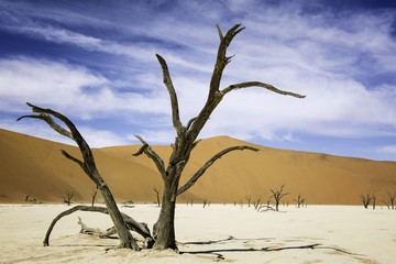 Dead Vlei Namibia