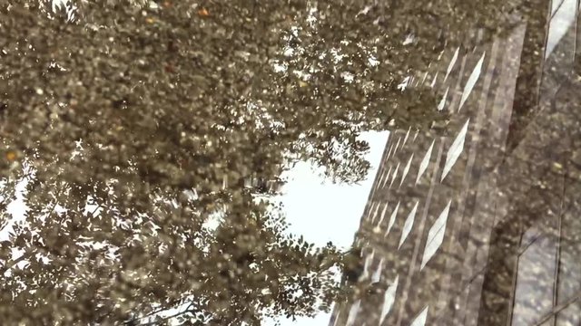 Raindrops falling in slow motion onto a puddle reflecting buildings and trees on a city street