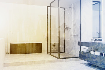 Modern bathroom corner with a gray tub toned