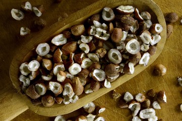 The licuri is a small coconut that gives in big curls, in a high palm, abundant in the northeast of...