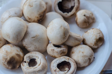 mushrooms prepared for grill, barbecue closeup