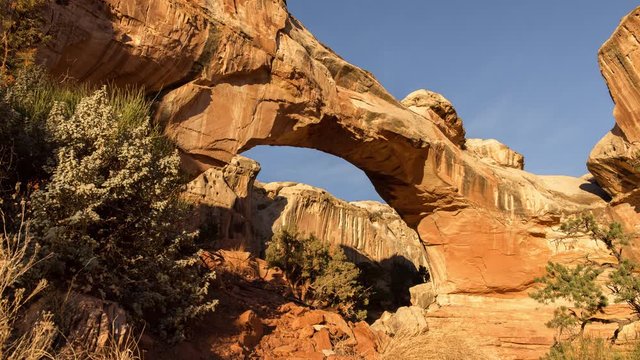 Hickman Natural Bridge in Capitol Reef, Utah 