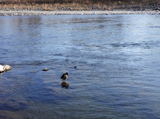 Kuma River flows through the historic town of Hitoyoshi, Kumamoto pref, Japan