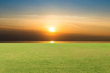 Papier Peint photo Lavable Campagne Green Grass, Soccer field ,Fairway Golf Course Sunset as background