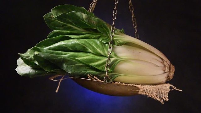Beta vulgaris var. cicla Bietola Mangold Acelga Bieta Blette Bleda coste Мангольд Paniere 莙薘菜 di &Sigma;έ&sigma;&kappa;&omicron;&upsilon;&lambda;&omicron; video consumo سلق 