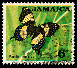 Jamaican Giant Swallowtail on postage stamp © Vic
