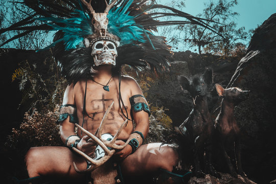 En la cultura Mexica, el Xoloitzcuintle acompa&ntilde;aba a las almas en el camino de la muerte (Mictlantecuhtli), en esta cultura la muerte es una forma de evolucionar y trascender.