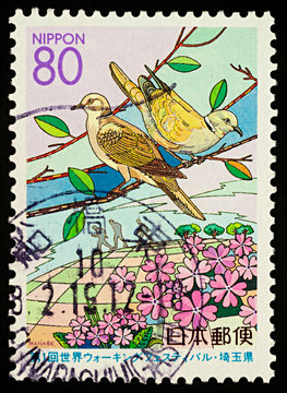 Bruce's Green Pigeon on postage stamp