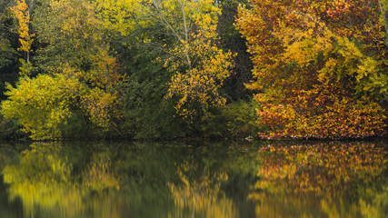 autumn on the river