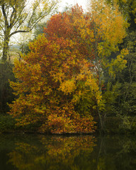 autumn on the river