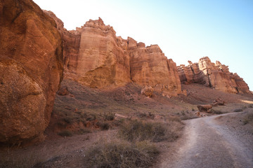 Scenic view inside Charyn canyon. Beautiful tree.