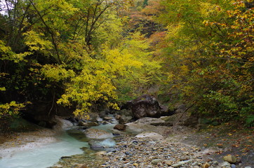 秋の渓流