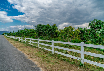 Asphalt road with white fence