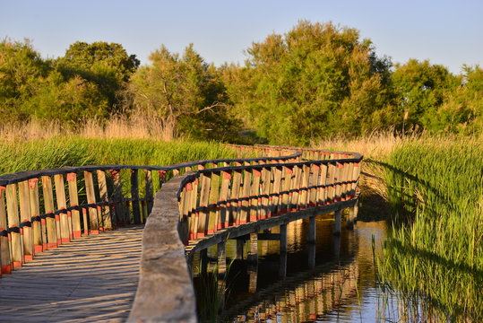 Tablas de Daimiel natural park
