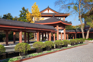 Traditional Chinese wooden pavilions