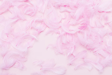 Fototapeta premium Pink feathers on paper background