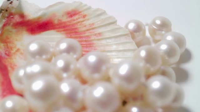 Natural pearls close-up in the shell of a clam. Smooth motion and rotation