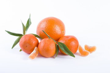 The fresh mandarines isolated on white background. Oranges are arranged in rows. Placed on a white background.