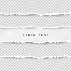 Set of torn paper stripes. Paper texture with damaged edge isolated on transparent background. Vector illustration