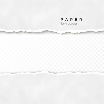 Horizontal torn paper edge. Paper texture. Rough broken border of paper stripe. Vector illustration isolated on transparent background