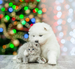 Samoyed puppy embracing a kitten on a background of the Christmas tree