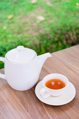 Tea By the Garden