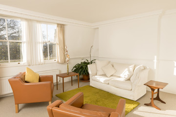 Cozy Living Room with Retro Styled Furniture within White Walls