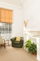Living Room Interior Featuring Green Vintage Armchair Beside Sealed Fireplace
