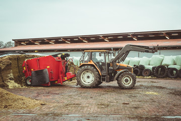 Rindermast, Landwirt beim Schneiden von Silage mit dem Futtermischwagen