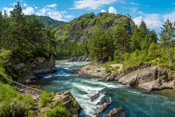 Naklejka na ściany i meble Raging waters of a mountain river in summer