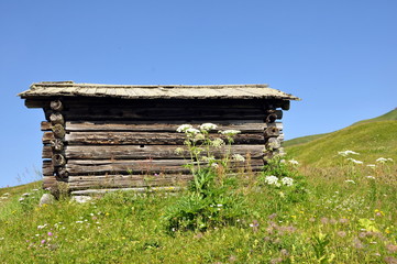 Hütte am Grödnerjoch