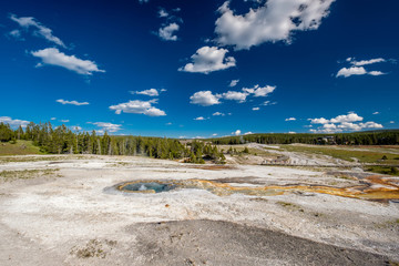 Hot thermal spring in Yellowstone