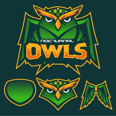 Green nocturnal Owl mascot artwork template