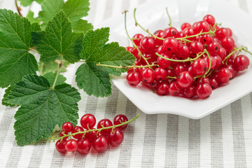 Redcurrants on plate over striped textile background