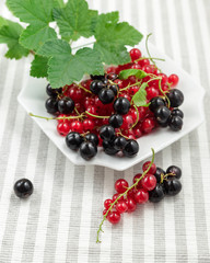 Redcurrants on plate over striped textile background