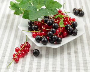 Redcurrants on plate over striped textile background