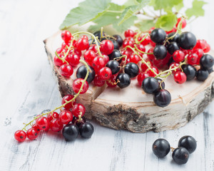 Redcurrants and blackcurrants on white wooden background