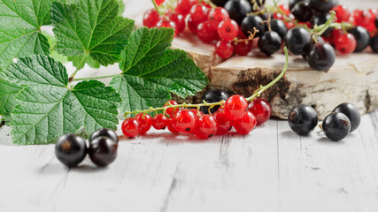 Redcurrants and blackcurrants on white wooden background