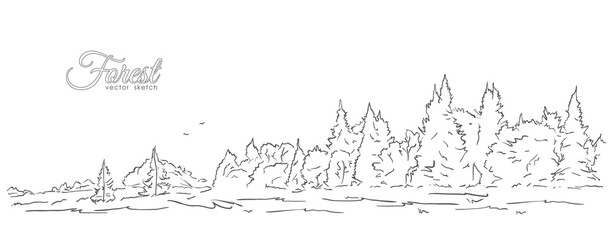 Hand drawn sketch with forest and birds. Line design.