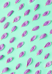 Flower petals on colorful background
