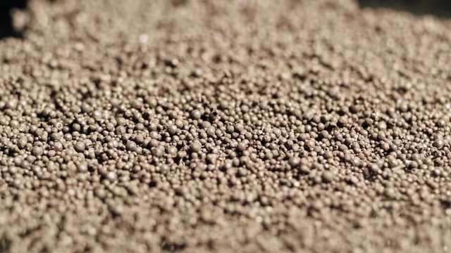Unusual effect of living alien soil. The motion of particles with a change in the magnetic field.